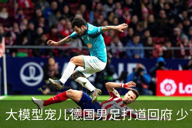 大模型宠儿德国男足打道回府 少了人性观察数据等于废纸
